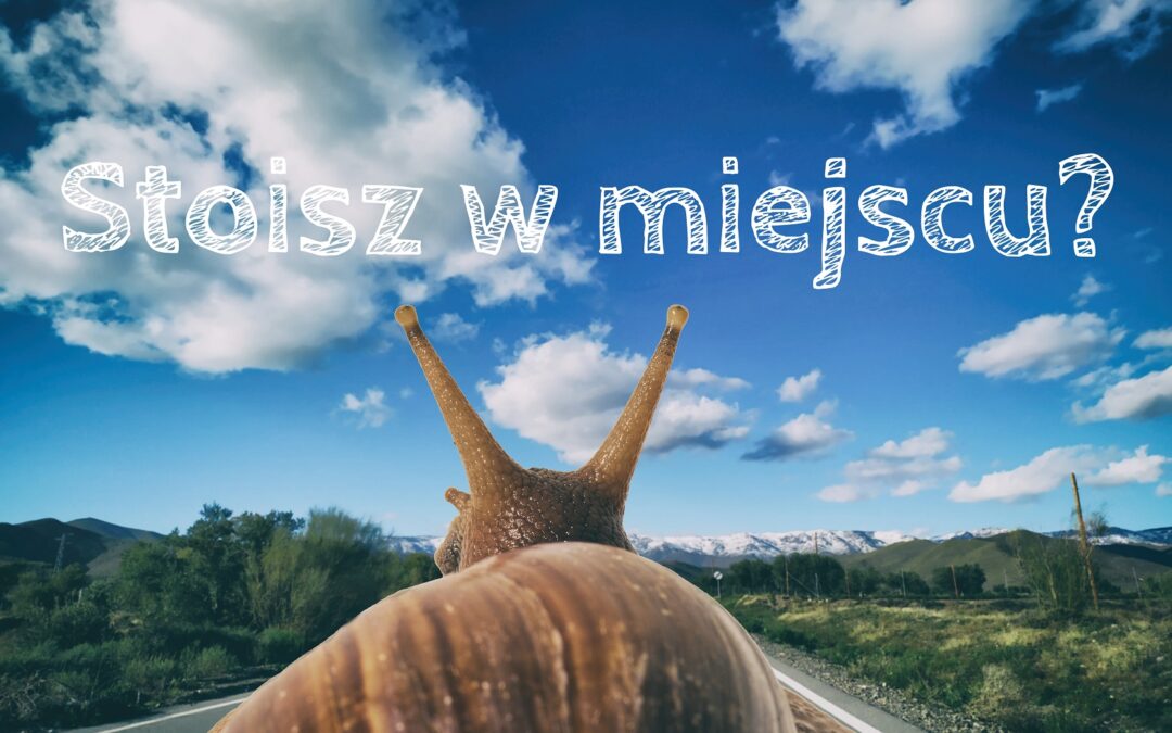 Film: Dlaczego stoisz w miejscu?